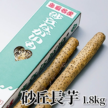 砂丘長芋 1.8ｋｇ