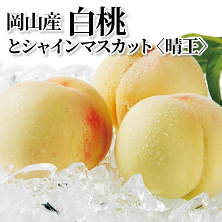 岡山産白桃とシャインマスカット〈晴王〉 白桃480g(2個)、シャインマスカット500g(1房)