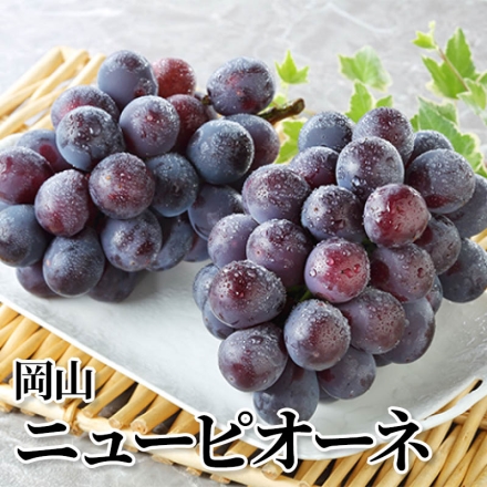 岡山ニューピオーネ 800g(2房)
