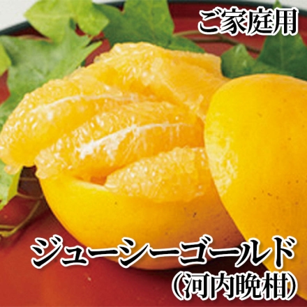 ジューシーゴールド（河内晩柑） ご家庭用 4.2kg