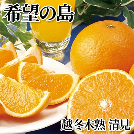 希望の島 越冬木熟 清見 4kg(中玉：20～32個)