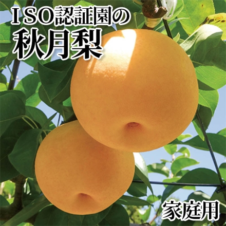 ＩＳＯ認証園の秋月梨 家庭用 2kg(4～6個)