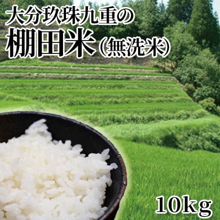 大分玖珠九重の棚田米（無洗米） 10ｋｇ