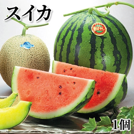 スイカ 1個