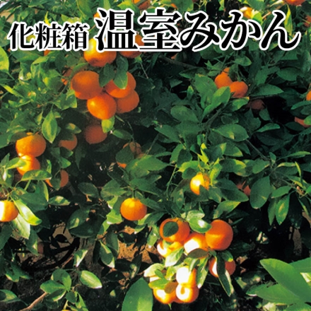 化粧箱温室みかん 2.7kg(S～L：21～32個)