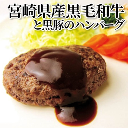 宮崎県産黒毛和牛と黒豚のハンバーグ ハンバーグ110g・ハンバーグソース15g 各5