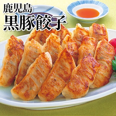 鹿児島黒豚餃子 黒豚餃子192g(12個)・餃子のたれ10g(ラー油付) 各5