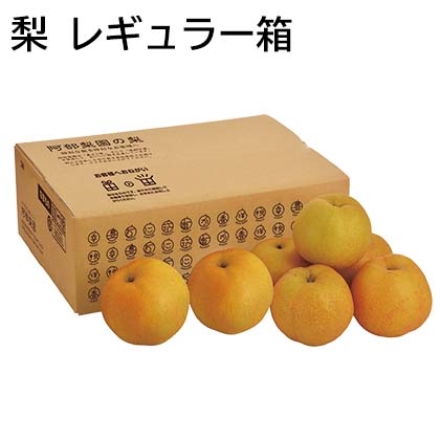 【こちらの商品は8月8日～10月10日の間にお届けします】梨 レギュラー箱 3ｋｇ（4～8個）
