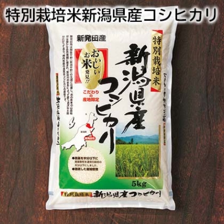 特別栽培米新潟県産コシヒカリ 5ｋｇ