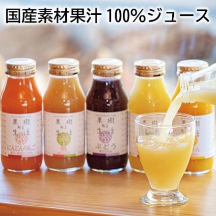 国産素材果汁100％ジュース にんじんりんご・桃・ぶどう・りんご・みかん 各180ｍｌ×2