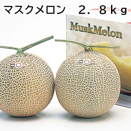 マスクメロン 2.8ｋｇ