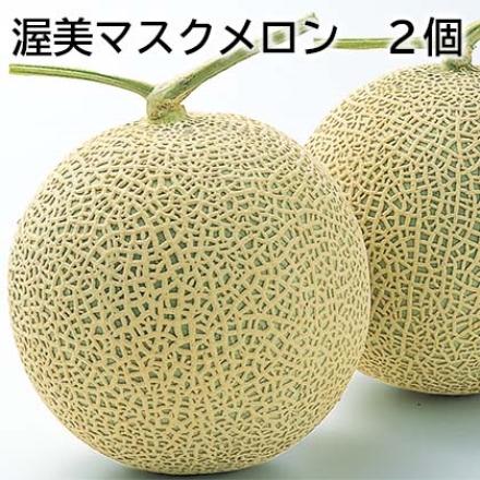 渥美マスクメロン 2個