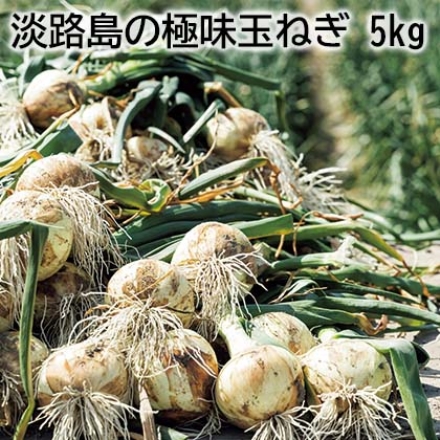 淡路島の極味玉ねぎ 5ｋｇ 5ｋｇ