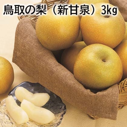 【こちらの商品は8月22日～9月10日の間にお届けします】鳥取の梨（新甘泉） 3ｋｇ 3ｋｇ（6～9個）