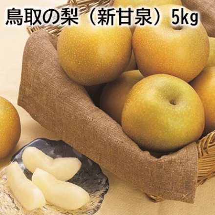 【こちらの商品は8月22日～9月10日の間にお届けします】鳥取の梨（新甘泉） 5ｋｇ 5ｋｇ（10～16個）