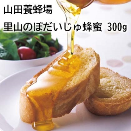 山田養蜂場 里山のぼだいじゅ蜂蜜 300ｇ 300ｇ