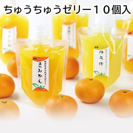 ちゅうちゅうゼリー10個入