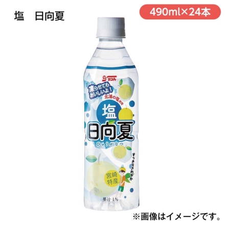 塩 日向夏 ４９０ｍｌ×２４