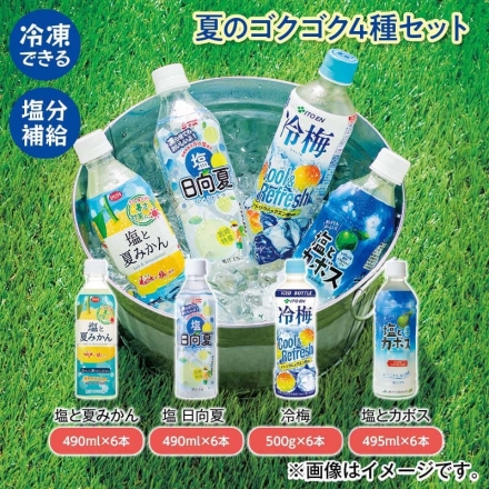 夏のゴクゴク4種セット