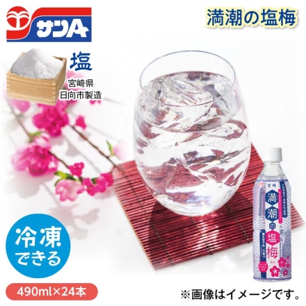 満潮の塩梅 490ml×24