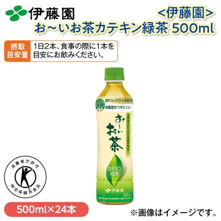 〈伊藤園〉お～いお茶カテキン緑茶 500ｍｌ