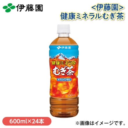 〈伊藤園〉健康ミネラルむぎ茶 600ml×24