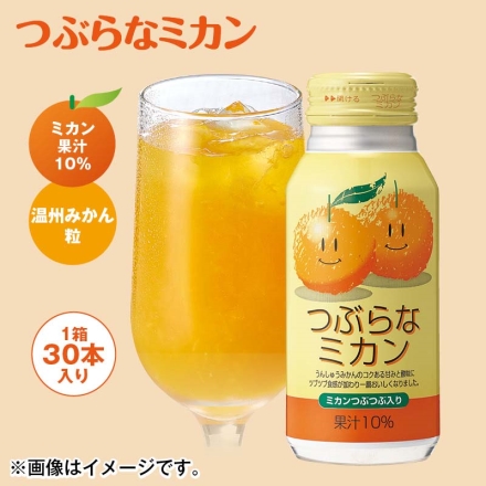 つぶらなミカン 190g×30