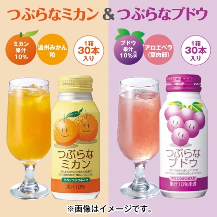 つぶらなミカン＆つぶらなブドウ つぶらなミカン・つぶらなブドウ 各190ｇ×30