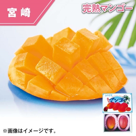 宮崎県 西都産 完熟マンゴー 700g（2～3個）