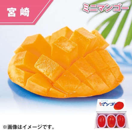 宮崎県 西都産 ミニマンゴー 750g（3玉）