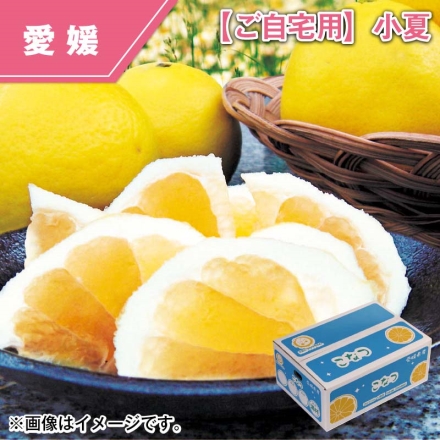 ご自宅用 小夏 4ｋｇ（S～3L混）