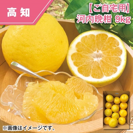 ご自宅用 河内晩柑 9ｋｇ