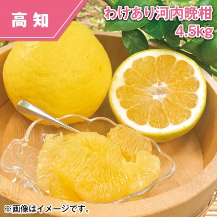 わけあり 河内晩柑 4.5ｋｇ