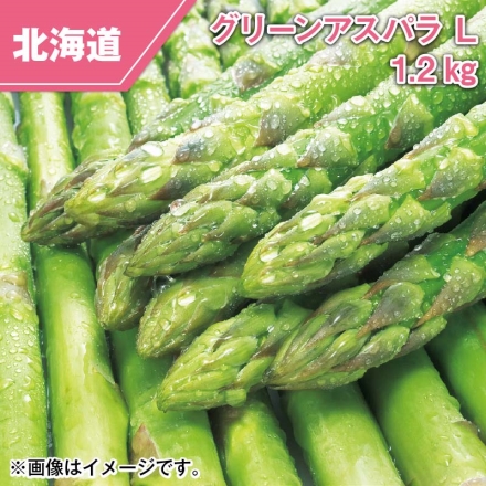 北海道産 グリーンアスパラ Ｌ 1.2ｋｇ