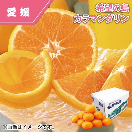 希望の島 カラマンダリン 2kg（S～2L混、優：12～20個）