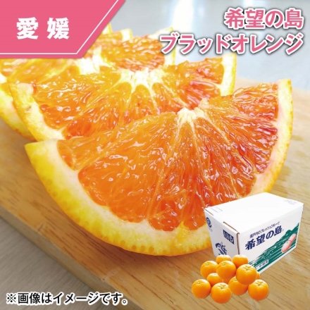 希望の島 ブラッドオレンジ 2kg（S～2L混、優：8～16個）