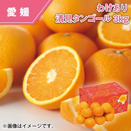 わけあり 清見タンゴール 3ｋｇ