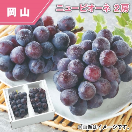 ニューピオーネ 2房