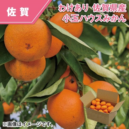 わけあり 佐賀県産 小玉ハウスみかん 1.5kg（35～50個）