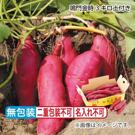 お中元熨斗付き 鳴門金時 3ｋｇ（土付）