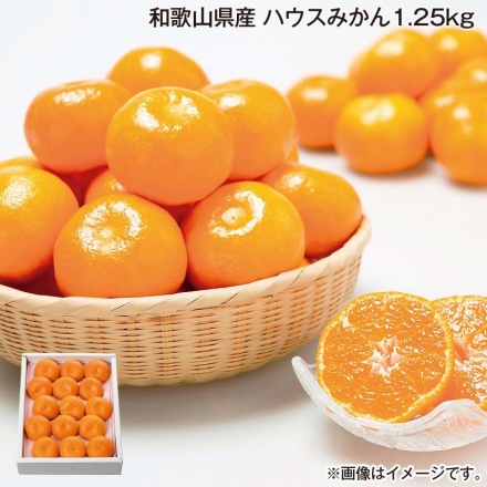 お中元熨斗付き 和歌山県産 ハウスみかん 1.25ｋｇ 御中元 夏ギフト ギフト 贈答