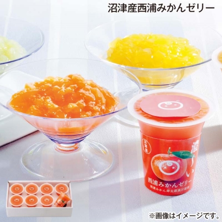 お中元熨斗付き 沼津産西浦みかんゼリー 125g×8 御中元 夏ギフト ギフト 贈答