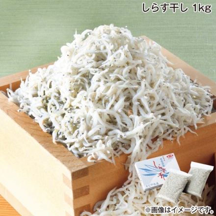 お中元熨斗付き 篠島産しらす干し 1ｋｇ 御中元 夏ギフト ギフト 贈答