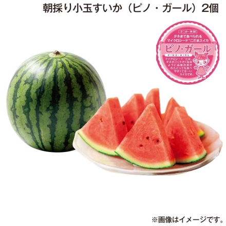 朝採り小玉すいか（ピノ・ガール）2個