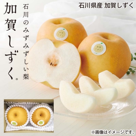 石川県産 加賀しずく 1kg（2個）