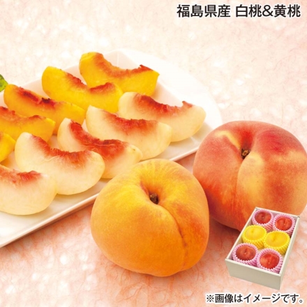 福島県産 白桃＆黄桃 1.5kg（白桃4個、黄桃2個）