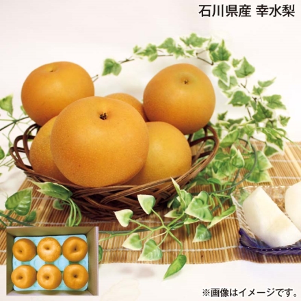 石川県産 幸水梨 2.5kg（6～8個）