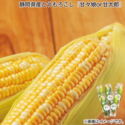 静岡県産とうもろこし『甘々娘ｏｒ甘太郎』 4～5本（2L～3L）