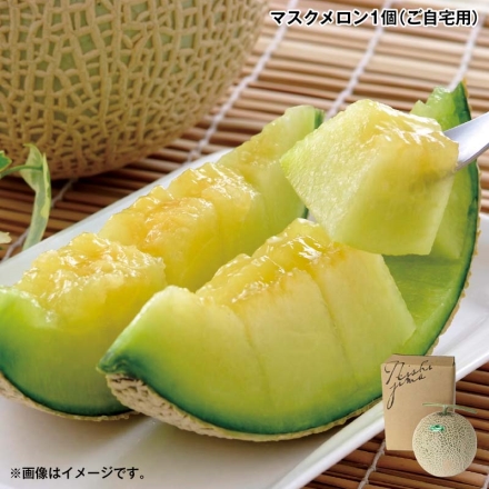 お歳暮のし付き マスクメロン1個（ご自宅用） 1.3kg
