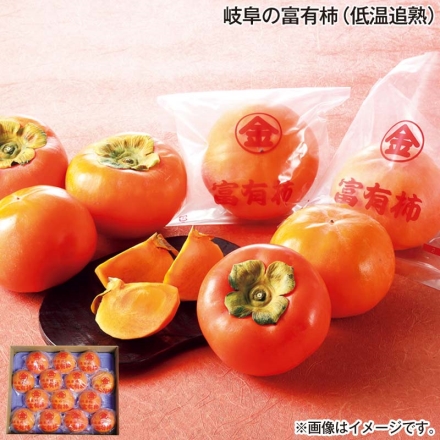 お歳暮のし付き 岐阜の富有柿（低温追熟） 3kg(14～16個）